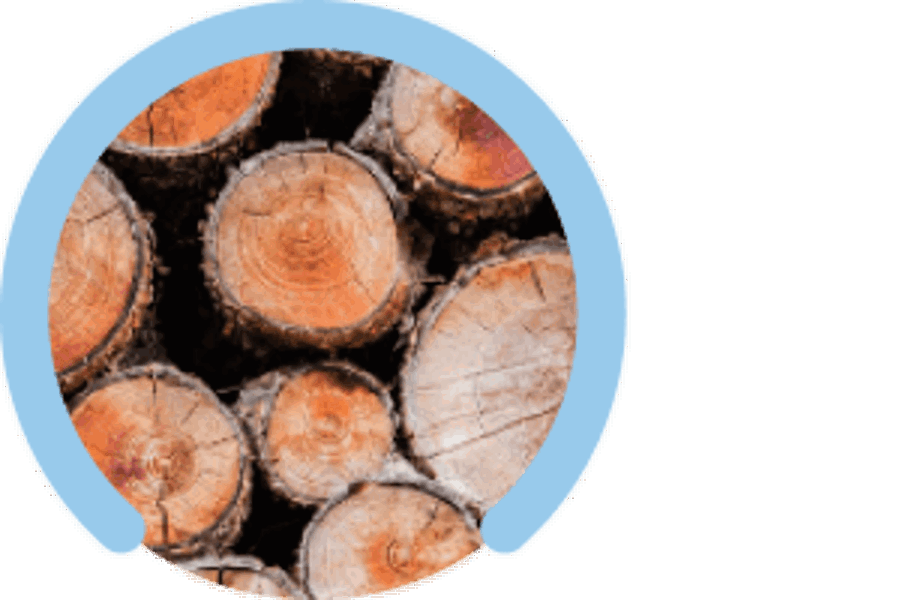 Timber Harvesting & Marketing